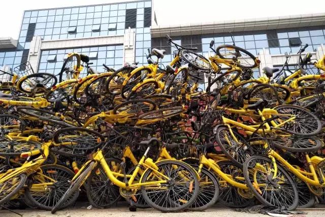 共享单车最终回归,共享单车堆成山报废