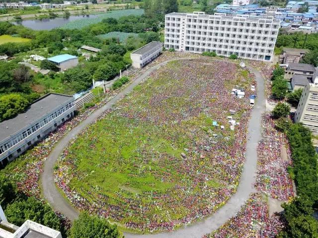 共享单车最终回归,共享单车堆成山报废