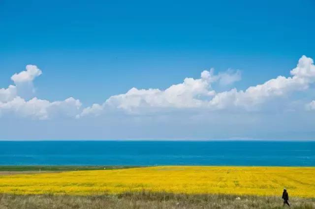 全国各地这些名小吃你都吃过吗,全国各地特产食品图片