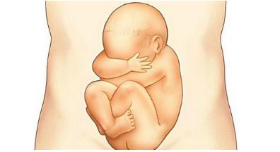 准妈妈睡醒了胎宝宝也会醒吗,坐着时候胎儿在睡觉吗