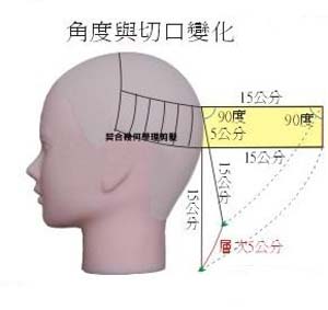 修剪发尖教程,三角梅修剪方法和技巧