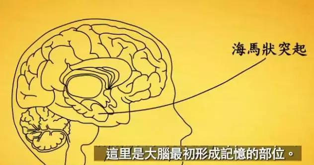 新手公众号怎么写文章好,写公众号文章的技巧和方法