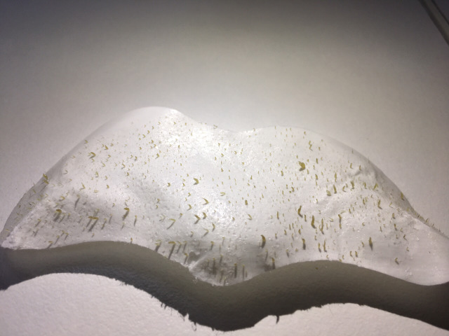 黑头闭口连根拔起,黑头怎样连根拔起