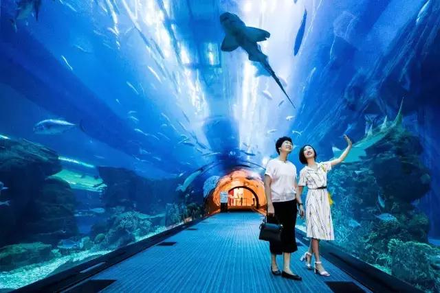 迪拜并不是你们想的遍地黄金,但它真是一个适合度假的好地方!