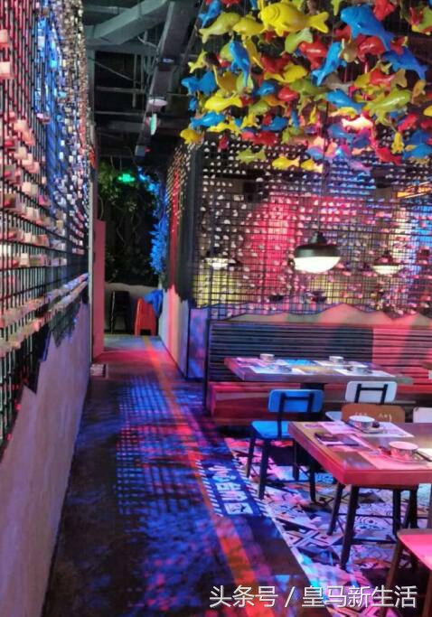 海口哪里的烤鱼最好吃,海口好吃高级海鲜店