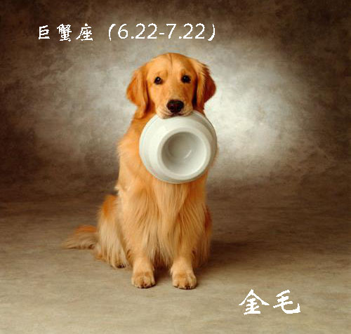 各星座对应的狗,各个星座代表的狗狗