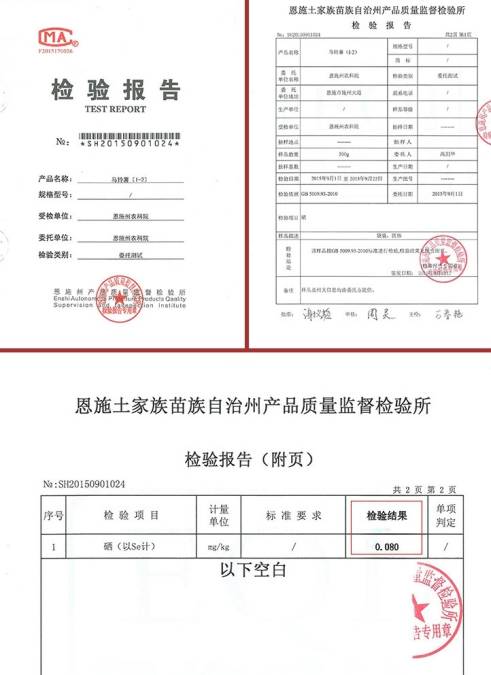 众筹农业种植项目,恩施咸丰富硒小土豆扶贫