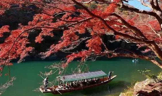 八月份定下的目标,秋季关西旅游攻略