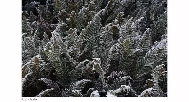 几分钟了解佳能6d2,尼康d850到底有多厉害