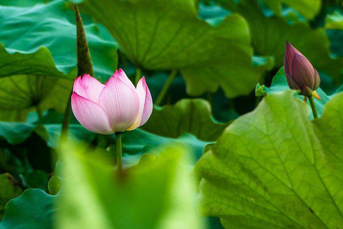 妗傛灄浼氫粰婀垮湴娓哥帺鏀荤暐,妗傛灄涓存浼氫粰婀垮湴鍏洯闂ㄧエ