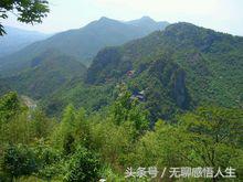 龙港市百强,龙港苍南百强县