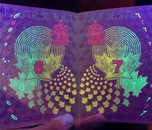 战狼2的护照与真实护照的区别,战狼的护照和现实护照不一样