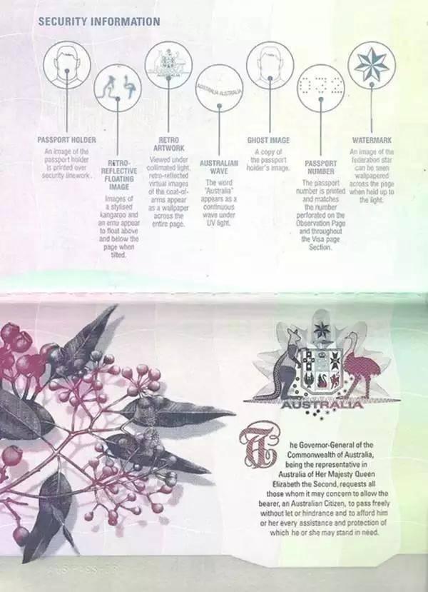 战狼2的护照与真实护照的区别,战狼的护照和现实护照不一样