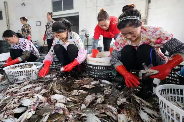 东海开渔节后海鲜什么时候能到,东海全面开渔第一网海鲜被抢空