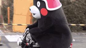 海口电动车最新通告,海口电动车最新上牌消息