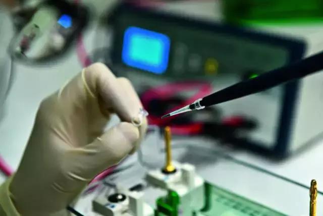 基因检测到孩子缺陷怎么办,基因检测预知你孩子的天赋在哪里