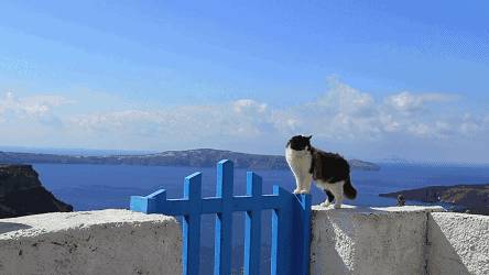 希腊签证指南全攻略,办理希腊旅游签证就能游欧洲了吗