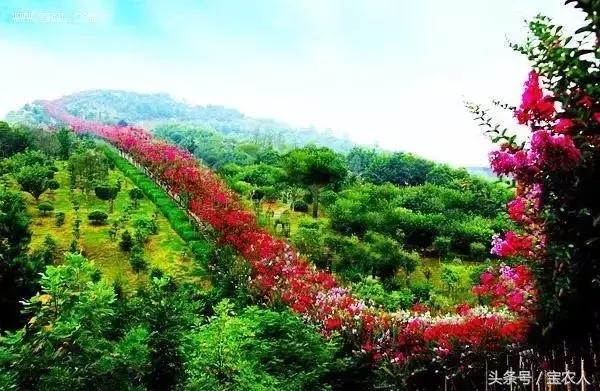 云雾缭绕人间仙境邵阳周边游,邵阳周末一日游景点推荐