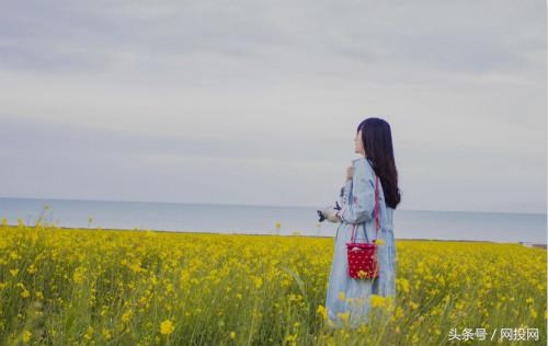 一个文学青年的奋斗史,小白眼中的p2p