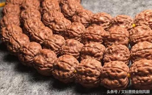 小金刚菩提清理到什么程度,小金刚菩提下水怎么清理