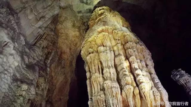 在深达数百米的天坑，大熊猫曾经到此一游