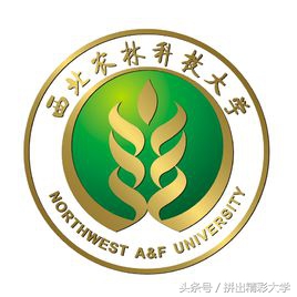 十所著名高校校训,各大高校校训及解析