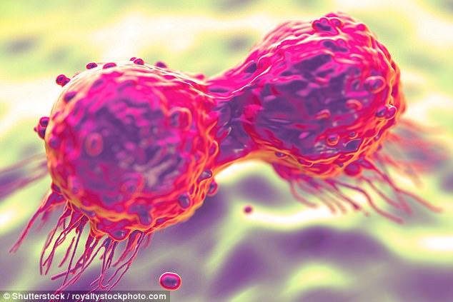 中医中药能使癌症患者带瘤生存吗,中医中药可以治疗癌症吗