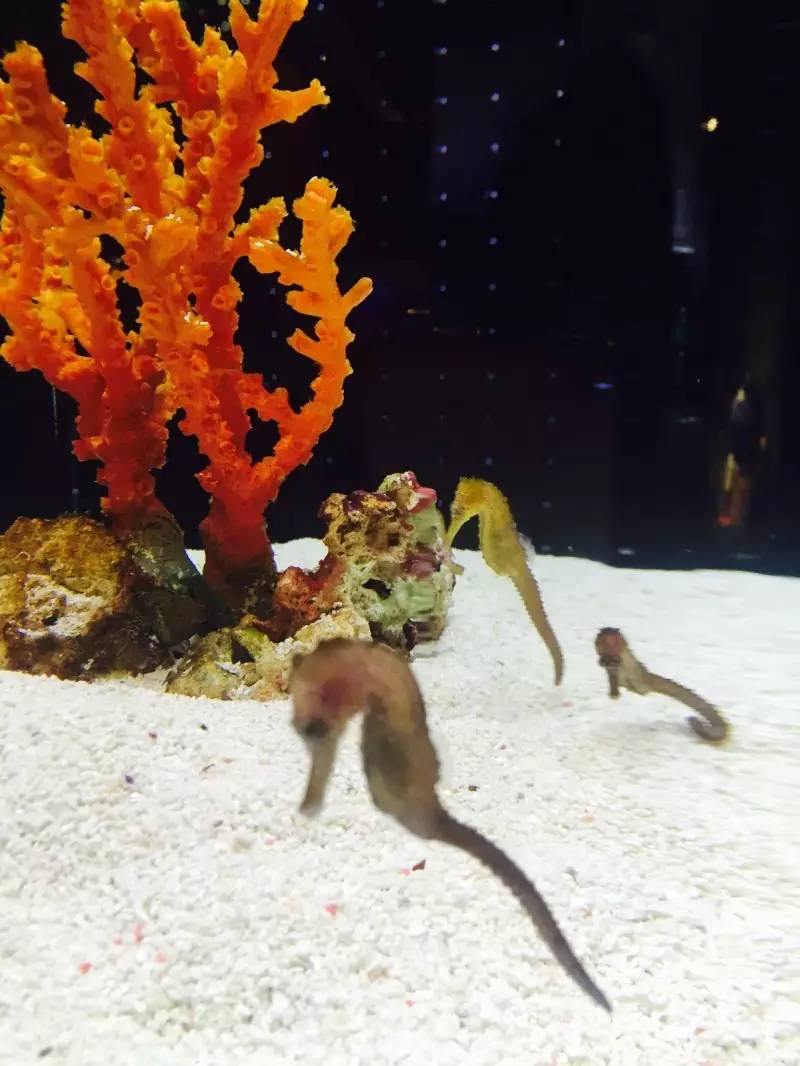 美女穷游10年走120个国家,穷游日本详细攻略