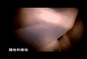 子宫日记解密生命孕育全过程,子宫日记央视纪录片