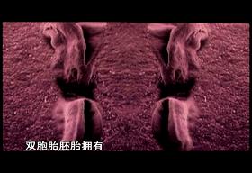 子宫日记解密生命孕育全过程,子宫日记央视纪录片