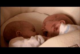 子宫日记解密生命孕育全过程,子宫日记央视纪录片