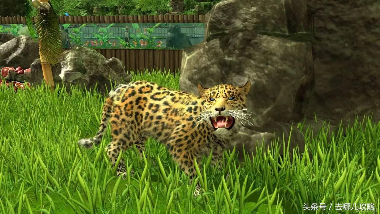 3小时免签小众海岛,可以免签的冷门海岛