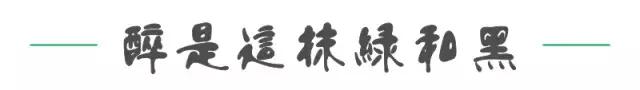 郑州独此一家的抹茶铺子,竟然还有着150年的官方认证