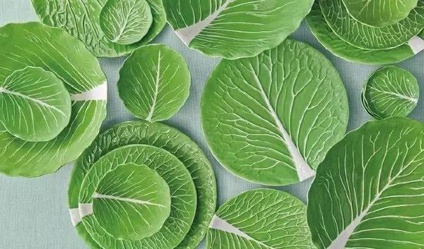 食欲好、拍照好……这么貌美的植物餐盘,我想不出拒绝理由