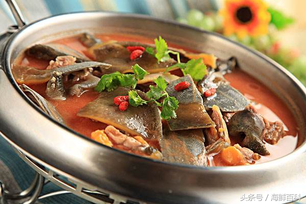 甲鱼有什么营养怎么杀,甲鱼的杀法和吃法的详细教程