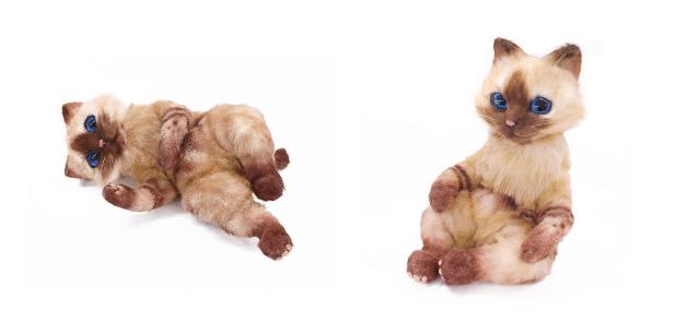 艾露猫怪物猎人,怪物猎人艾露猫真人