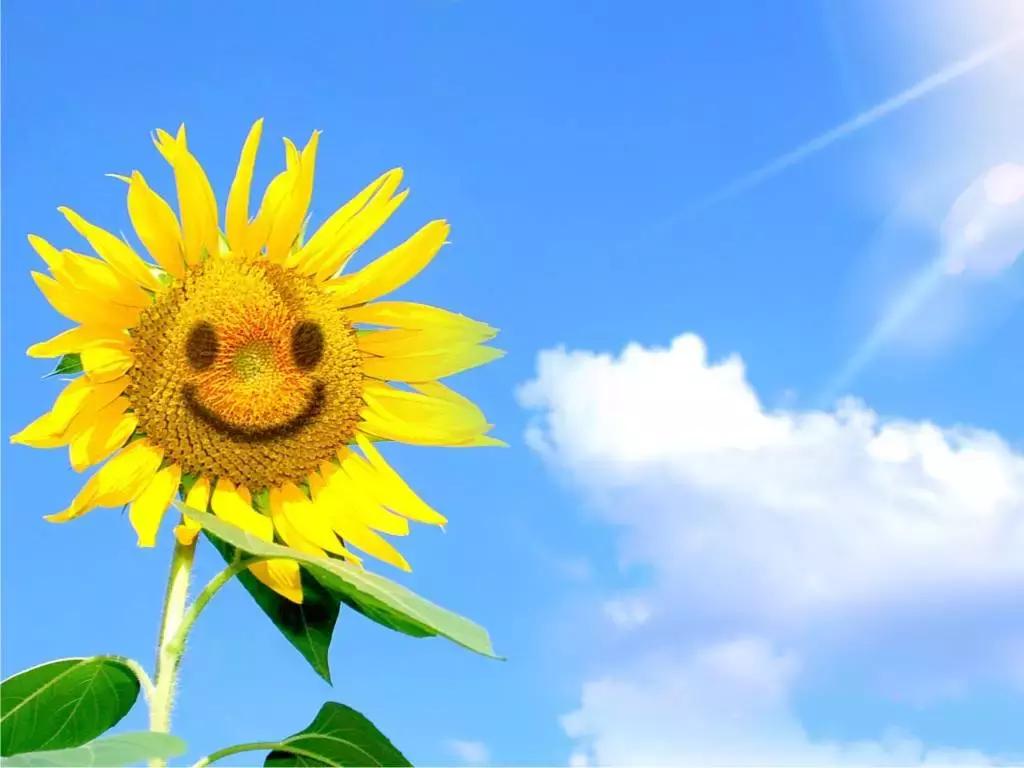 卵巢癌复发及治疗,卵巢癌反复复发该怎么办