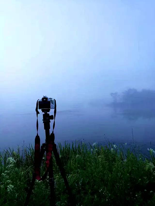 北纬30°神秘之境，在高山草甸、追逐鹿群，这里美的像天堂！