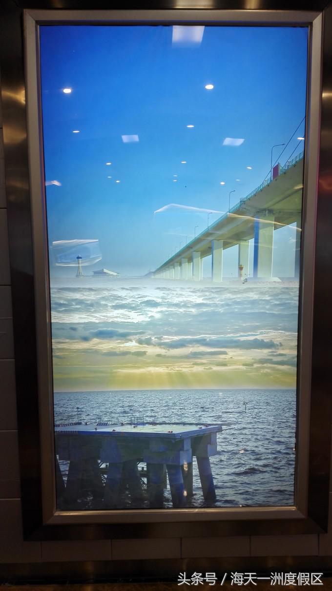 杭州自驾到舟山旅游攻略,杭州湾自驾游一日游