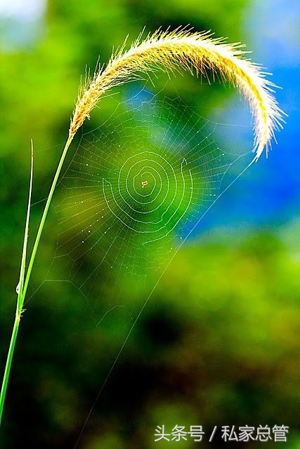 爱一个人陷于才华忠于人品,爱一个人始于颜值敬于爱情