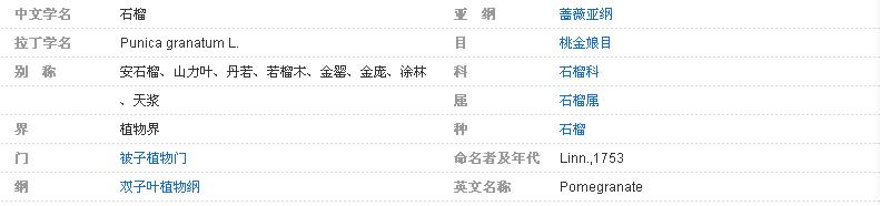 糖尿病打胰岛素和二甲双胍哪个好,治糖尿病二甲双胍和什么药配合好