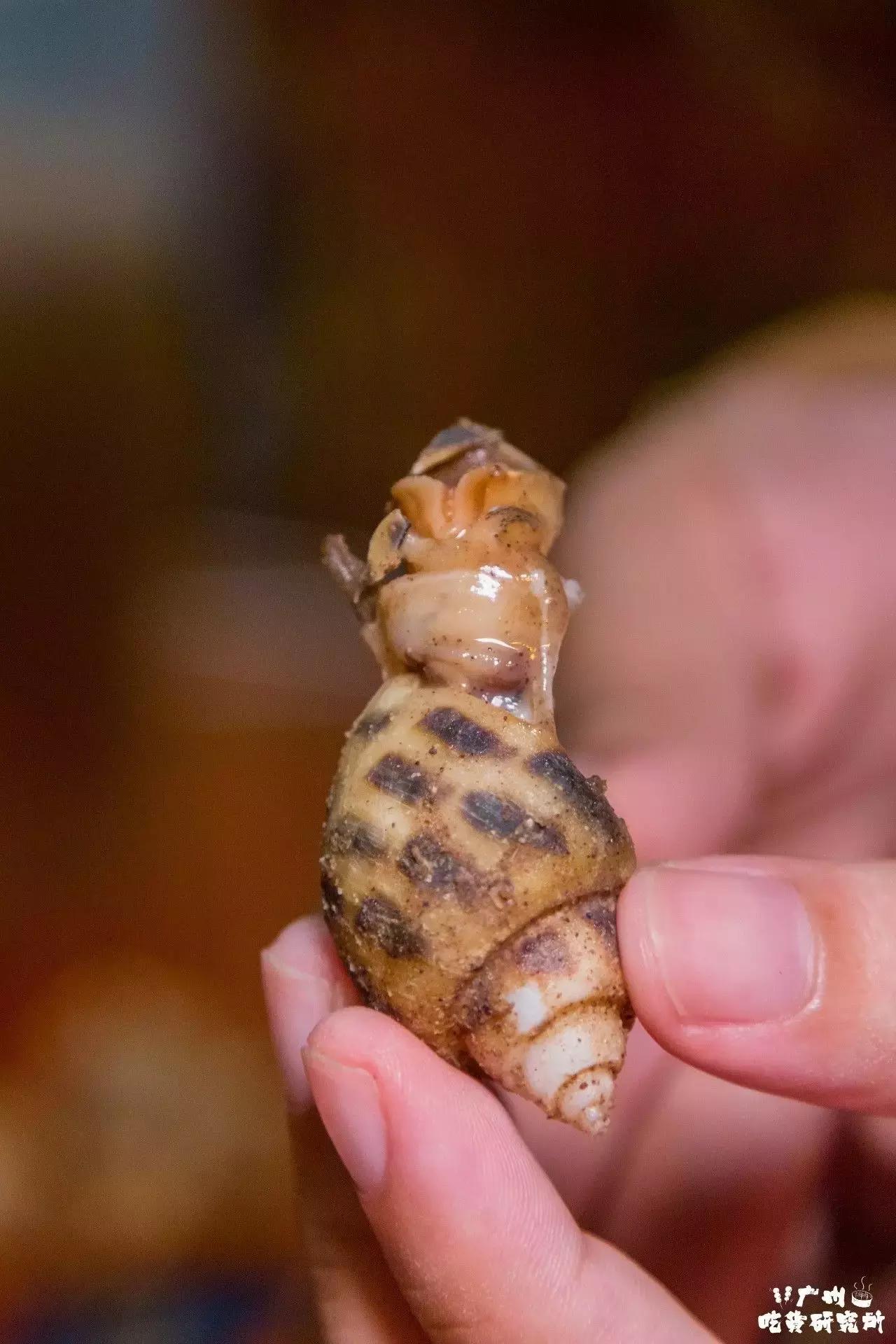 香港最旧的大排档,香港大排档出现在广州街头