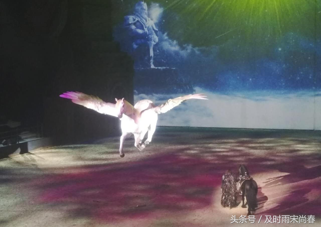 快去鸟巢看史诗马秀《特洛伊》，学习娱乐两相宜