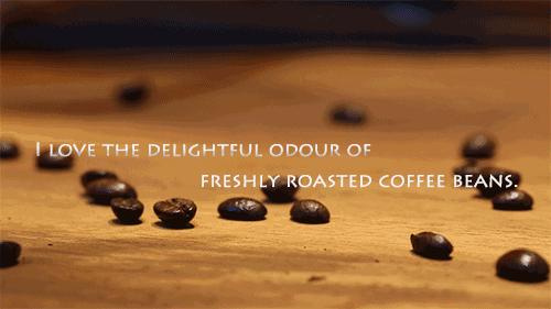 老司机才知道的咖啡厅，来过的人都会变成回头客