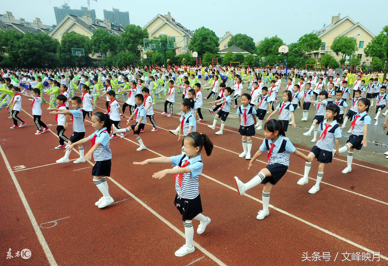 三年级上册语文期末单元复习要点,部编版语文三年级上册知识要点