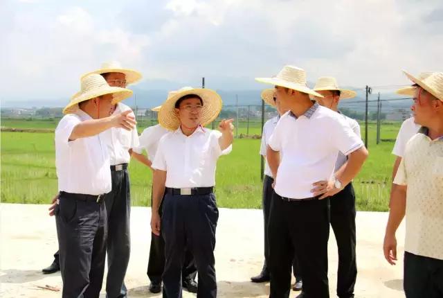 中杰市长近一周走遍了半个肇庆，到底所为何事？