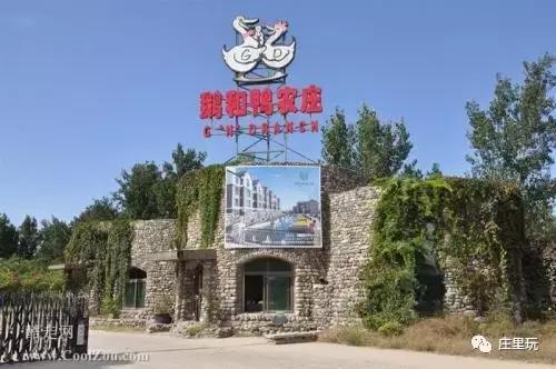 鹅和鸭，《少林寺》《还珠格格》《武林外传》曾在这里取景不