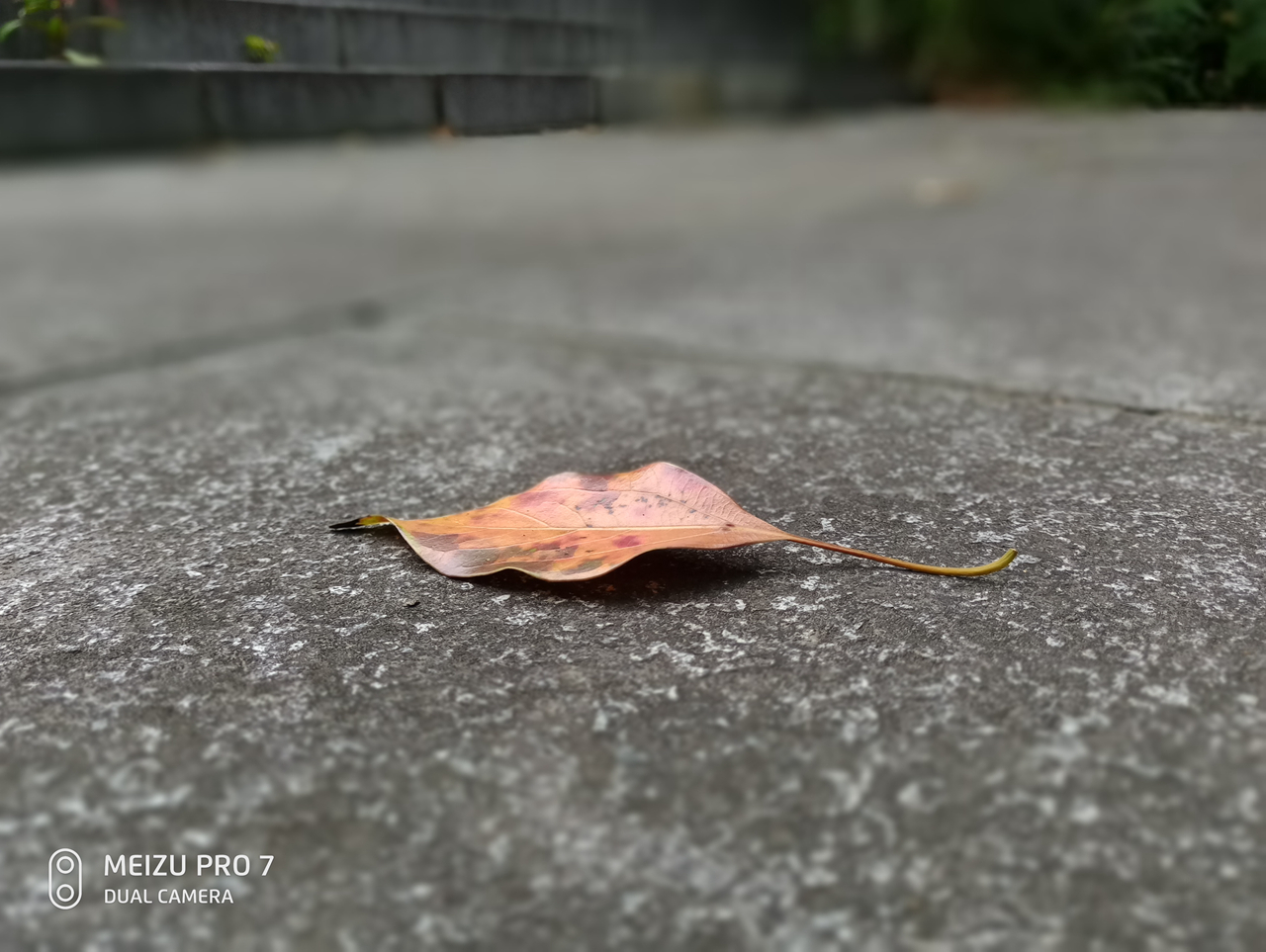 创新还是噱头？魅族PRO7究竟是一款怎样的手机？