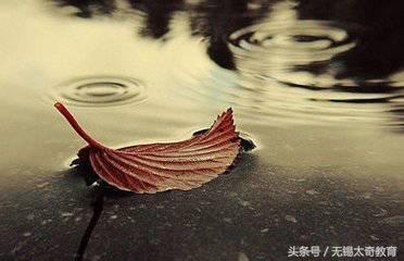 怎样提高考试效率的方法,全国司法考试通过率