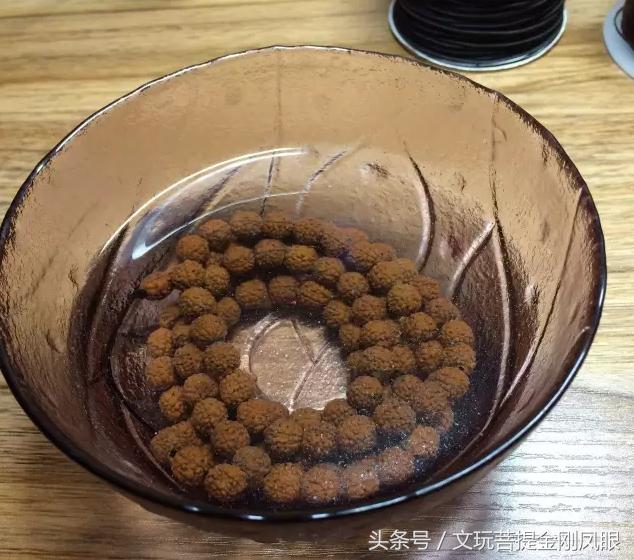 小金刚菩提清理到什么程度,小金刚菩提下水怎么清理